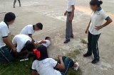 articulo relacionado