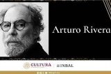 articulo relacionado