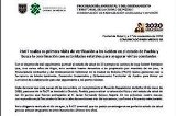 articulo relacionado