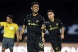 articulo relacionado