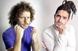 articulo relacionado