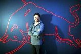 articulo relacionado