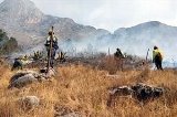 articulo relacionado