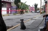 articulo relacionado
