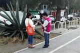 articulo relacionado