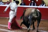 articulo relacionado