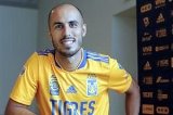 articulo relacionado