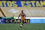 articulo relacionado