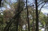 articulo relacionado