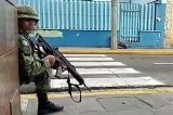 articulo relacionado