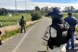 articulo relacionado