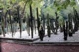 articulo relacionado