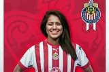 articulo relacionado