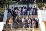 articulo relacionado
