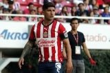 articulo relacionado