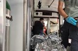 articulo relacionado
