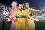 articulo relacionado