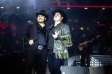 articulo relacionado