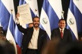 articulo relacionado