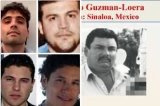 articulo relacionado