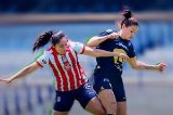 articulo relacionado