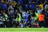articulo relacionado