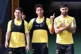 articulo relacionado