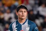 articulo relacionado