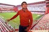 articulo relacionado