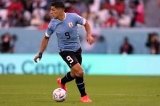 articulo relacionado