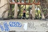 articulo relacionado