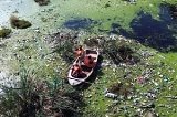 articulo relacionado