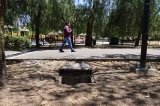 articulo relacionado