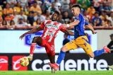 articulo relacionado