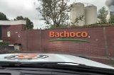 articulo relacionado