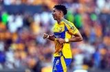 articulo relacionado
