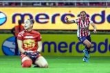 articulo relacionado