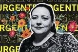 articulo relacionado
