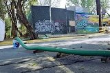articulo relacionado