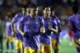 articulo relacionado