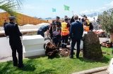 articulo relacionado