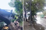 articulo relacionado