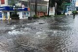 articulo relacionado