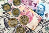 articulo relacionado