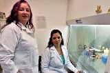 articulo relacionado