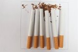 articulo relacionado
