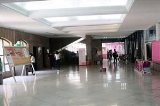 articulo relacionado