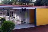 articulo relacionado