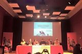 articulo relacionado