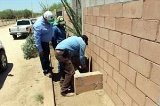 articulo relacionado